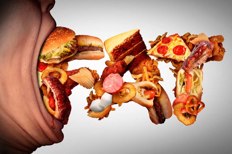 obesogênicos