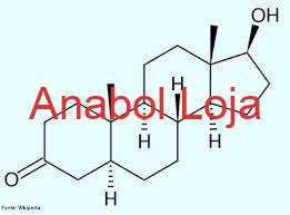 Dihidrotestosterona