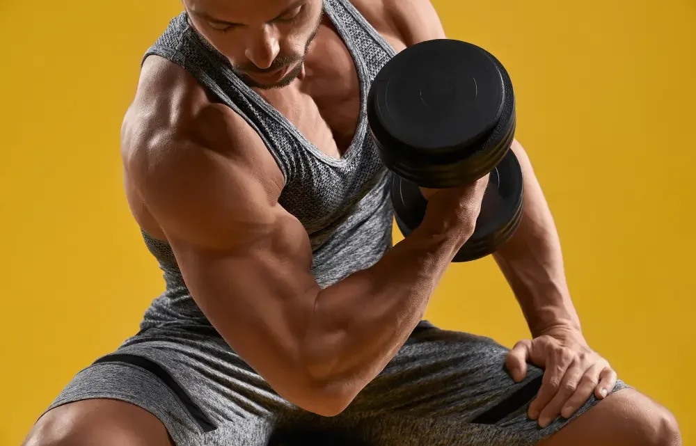 catabolismo muscular